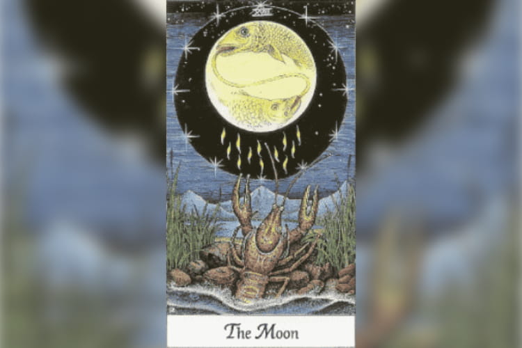 Pisces Tarot Card : The Moon