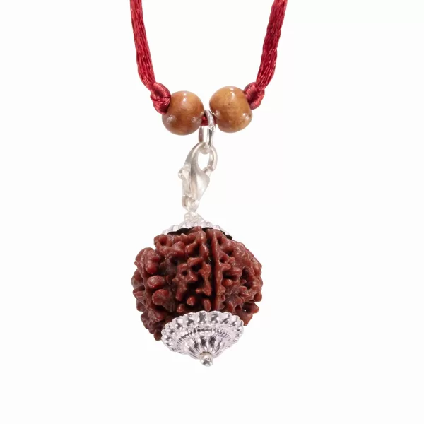 Five Mukhi Rudraksha