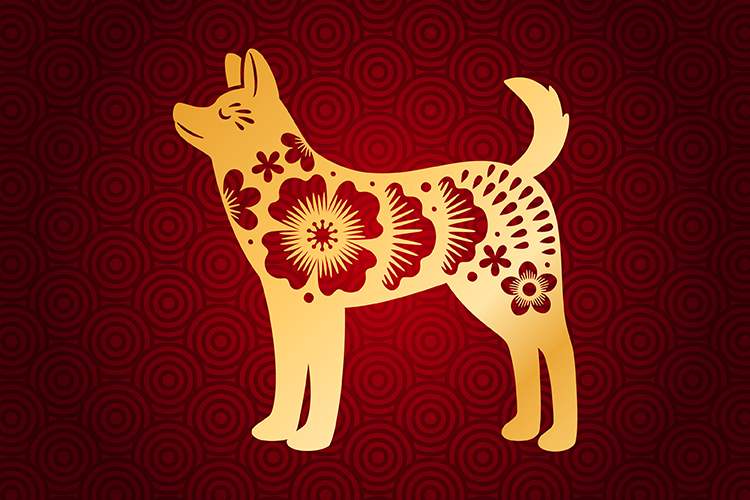 The Chinese Zodiac Dog Astrology : The Year of the Dog