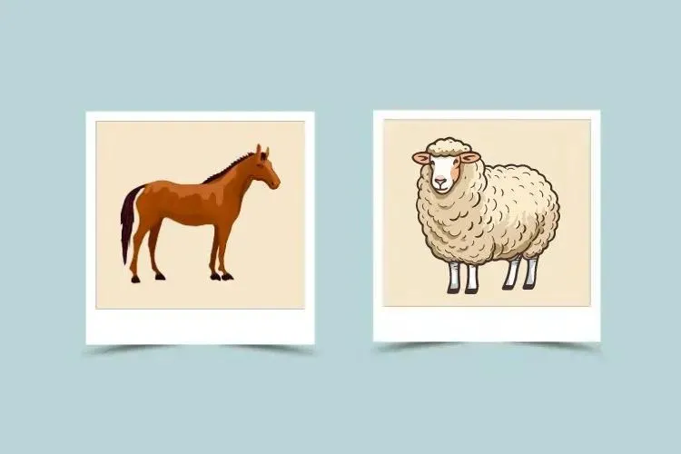 Horse and Sheep Compatibility – Horse Chinese Zodiac – Sheep Chinese Zodiac