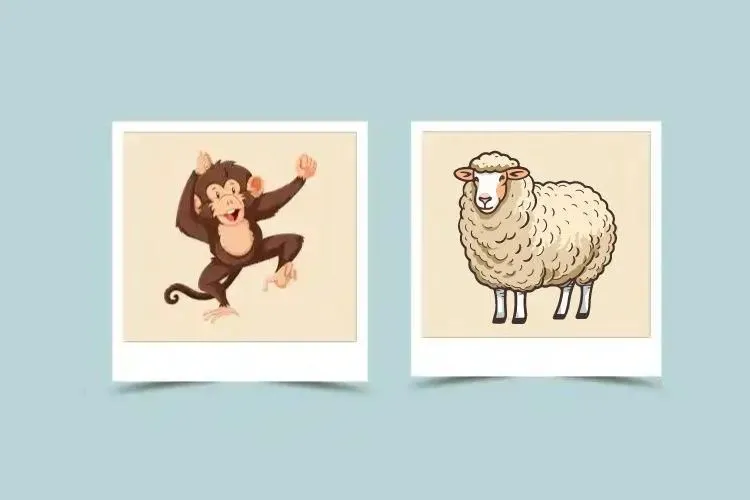 Monkey and Sheep Compatibility – Monkey Chinese Zodiac – Sheep Chinese Zodiac