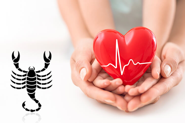 Scorpio Health and Wellness – Scorpio Health Problems, Ideal Foods, etc.