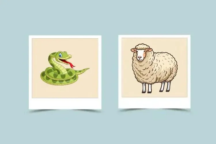 Snake and Sheep Compatibility – Snake Chinese Zodiac – Sheep Chinese Zodiac