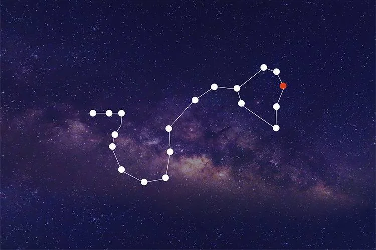 Anuradha Nakshatra 2025: Nakshatra Prediction