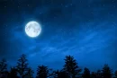 मार्गशीर्ष पूर्णिमा (Margashirsha Purnima) 2025 कब मनाई जाएगी, और क्या है इसका महत्व…
