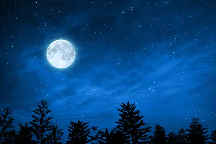 मार्गशीर्ष पूर्णिमा (Margashirsha Purnima) 2025 कब मनाई जाएगी, और क्या है इसका महत्व…