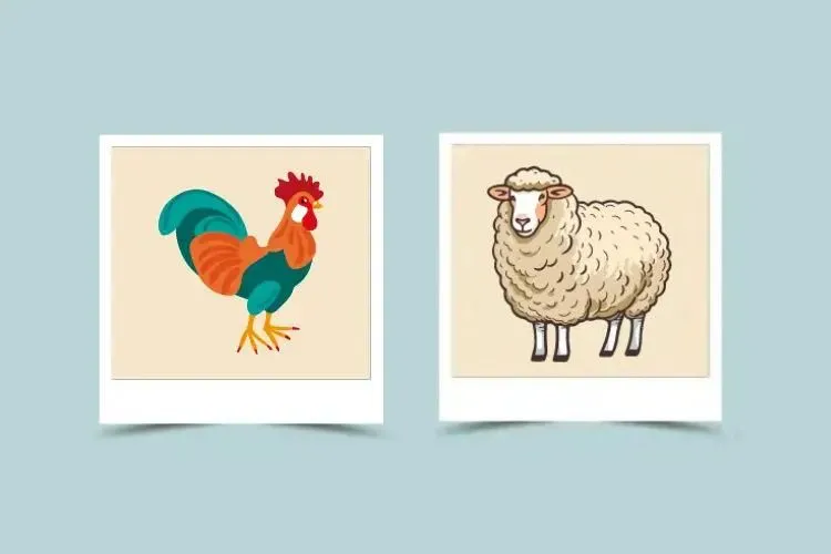 Rooster and Sheep Compatibility – Snake Chinese Zodiac – Rooster Chinese Zodiac